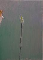 Vogl_Aug_in_Aug_2025_OelLw_85x61cm.jpeg